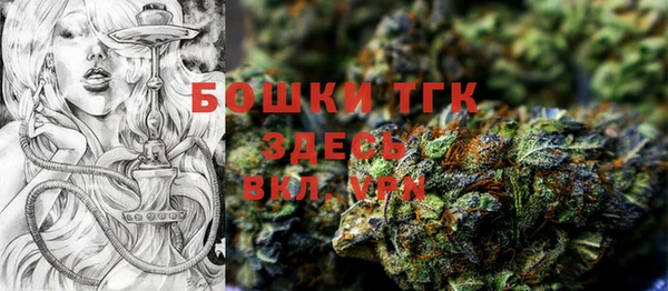 прущие грибы Алзамай