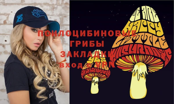 кокс Армянск
